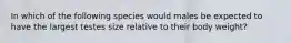 In which of the following species would males be expected to have the largest testes size relative to their body weight?