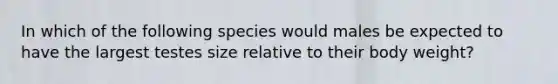 In which of the following species would males be expected to have the largest testes size relative to their body weight?