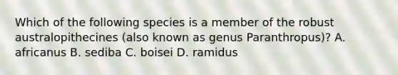 Which of the following species is a member of the robust australopithecines (also known as genus Paranthropus)? A. africanus B. sediba C. boisei D. ramidus