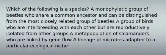 Which of the following is a species? A monophyletic group of beetles who share a common ancestor and can be distinguished from the most closely related group of beetles A group of birds who are interbreeding with each other but are reproductively isolated from other groups A metapopulation of salamanders who are linked by gene flow A lineage of microbes adapted to a particular ecological niche