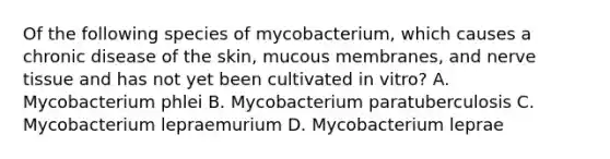 Of the following species of mycobacterium, which causes a chronic disease of the skin, mucous membranes, and nerve tissue and has not yet been cultivated in vitro? A. Mycobacterium phlei B. Mycobacterium paratuberculosis C. Mycobacterium lepraemurium D. Mycobacterium leprae