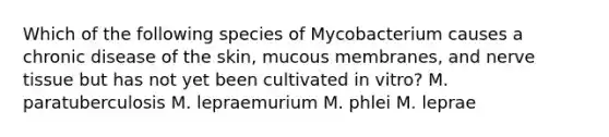 Which of the following species of Mycobacterium causes a chronic disease of the skin, mucous membranes, and nerve tissue but has not yet been cultivated in vitro? M. paratuberculosis M. lepraemurium M. phlei M. leprae