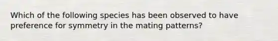 Which of the following species has been observed to have preference for symmetry in the mating patterns?