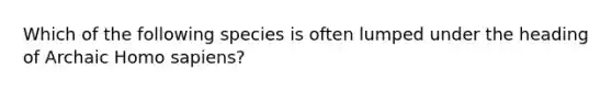 Which of the following species is often lumped under the heading of Archaic Homo sapiens?