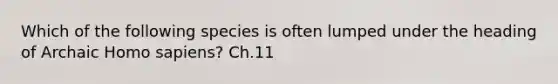 Which of the following species is often lumped under the heading of Archaic <a href='https://www.questionai.com/knowledge/k9aqcXDhxN-homo-sapiens' class='anchor-knowledge'>homo sapiens</a>? Ch.11