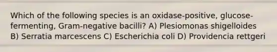 Which of the following species is an oxidase-positive, glucose-fermenting, Gram-negative bacilli? A) Plesiomonas shigelloides B) Serratia marcescens C) Escherichia coli D) Providencia rettgeri