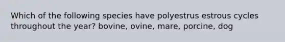 Which of the following species have polyestrus estrous cycles throughout the year? bovine, ovine, mare, porcine, dog