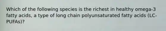 Which of the following species is the richest in healthy omega-3 fatty acids, a type of long chain polyunsaturated fatty acids (LC-PUFAs)?