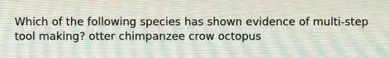 Which of the following species has shown evidence of multi-step tool making? otter chimpanzee crow octopus