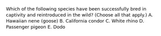 Which of the following species have been successfully bred in captivity and reintroduced in the wild? (Choose all that apply.) A. Hawaiian nene (goose) B. California condor C. White rhino D. Passenger pigeon E. Dodo