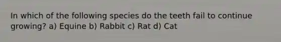 In which of the following species do the teeth fail to continue growing? a) Equine b) Rabbit c) Rat d) Cat