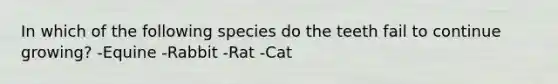 In which of the following species do the teeth fail to continue growing? -Equine -Rabbit -Rat -Cat