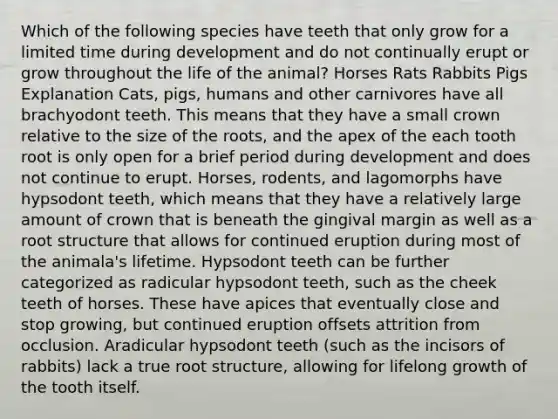 Which of the following species have teeth that only grow for a limited time during development and do not continually erupt or grow throughout the life of the animal? Horses Rats Rabbits Pigs Explanation Cats, pigs, humans and other carnivores have all brachyodont teeth. This means that they have a small crown relative to the size of the roots, and the apex of the each tooth root is only open for a brief period during development and does not continue to erupt. Horses, rodents, and lagomorphs have hypsodont teeth, which means that they have a relatively large amount of crown that is beneath the gingival margin as well as a root structure that allows for continued eruption during most of the animala's lifetime. Hypsodont teeth can be further categorized as radicular hypsodont teeth, such as the cheek teeth of horses. These have apices that eventually close and stop growing, but continued eruption offsets attrition from occlusion. Aradicular hypsodont teeth (such as the incisors of rabbits) lack a true root structure, allowing for lifelong growth of the tooth itself.