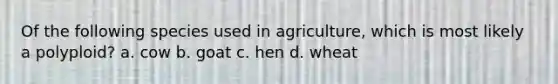 Of the following species used in agriculture, which is most likely a polyploid? a. cow b. goat c. hen d. wheat