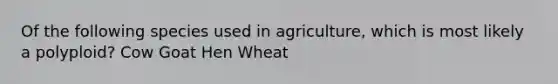 Of the following species used in agriculture, which is most likely a polyploid? Cow Goat Hen Wheat