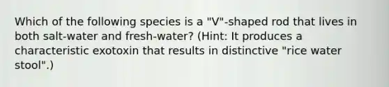 Which of the following species is a "V"-shaped rod that lives in both salt-water and fresh-water? (Hint: It produces a characteristic exotoxin that results in distinctive "rice water stool".)