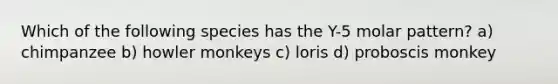 Which of the following species has the Y-5 molar pattern? a) chimpanzee b) howler monkeys c) loris d) proboscis monkey