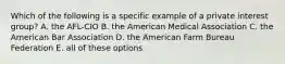 Which of the following is a specific example of a private interest group? A. the AFL-CIO B. the American Medical Association C. the American Bar Association D. the American Farm Bureau Federation E. all of these options