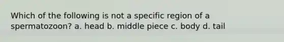 Which of the following is not a specific region of a spermatozoon? a. head b. middle piece c. body d. tail