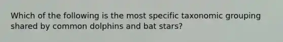 Which of the following is the most specific taxonomic grouping shared by common dolphins and bat stars?