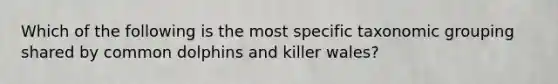 Which of the following is the most specific taxonomic grouping shared by common dolphins and killer wales?