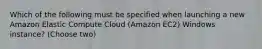 Which of the following must be specified when launching a new Amazon Elastic Compute Cloud (Amazon EC2) Windows instance? (Choose two)