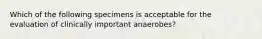 Which of the following specimens is acceptable for the evaluation of clinically important anaerobes?
