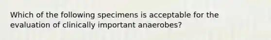 Which of the following specimens is acceptable for the evaluation of clinically important anaerobes?