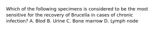 Which of the following specimens is considered to be the most sensitive for the recovery of Brucella in cases of chronic infection? A. Blod B. Urine C. Bone marrow D. Lymph node