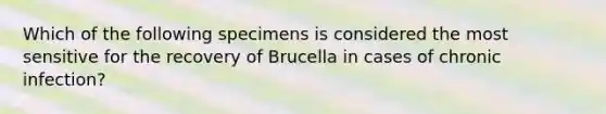 Which of the following specimens is considered the most sensitive for the recovery of Brucella in cases of chronic infection?