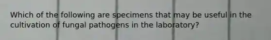 Which of the following are specimens that may be useful in the cultivation of fungal pathogens in the laboratory?