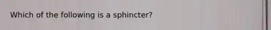 Which of the following is a sphincter?