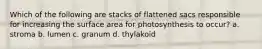 Which of the following are stacks of flattened sacs responsible for increasing the surface area for photosynthesis to occur? a. stroma b. lumen c. granum d. thylakoid