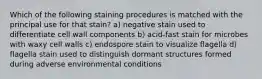 Which of the following staining procedures is matched with the principal use for that stain? a) negative stain used to differentiate cell wall components b) acid-fast stain for microbes with waxy cell walls c) endospore stain to visualize flagella d) flagella stain used to distinguish dormant structures formed during adverse environmental conditions