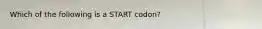 Which of the following is a START codon?