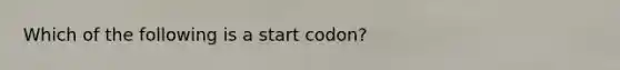 Which of the following is a start codon?