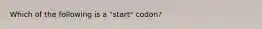 Which of the following is a "start" codon?