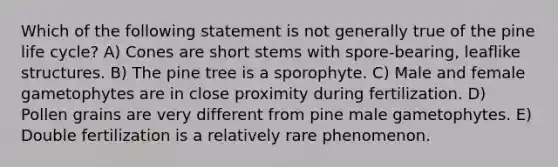 Which of the following statement is not generally true of the pine life cycle? A) Cones are short stems with spore-bearing, leaflike structures. B) The pine tree is a sporophyte. C) Male and female gametophytes are in close proximity during fertilization. D) Pollen grains are very different from pine male gametophytes. E) Double fertilization is a relatively rare phenomenon.