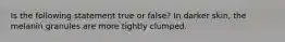 Is the following statement true or false? In darker skin, the melanin granules are more tightly clumped.