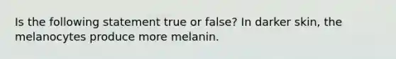 Is the following statement true or false? In darker skin, the melanocytes produce more melanin.