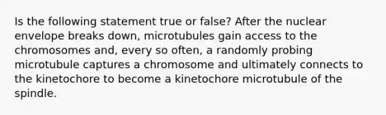 Is the following statement true or false? After the nuclear envelope breaks down, microtubules gain access to the chromosomes and, every so often, a randomly probing microtubule captures a chromosome and ultimately connects to the kinetochore to become a kinetochore microtubule of the spindle.