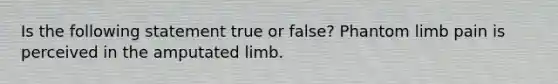 Is the following statement true or false? Phantom limb pain is perceived in the amputated limb.