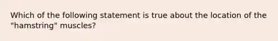 Which of the following statement is true about the location of the "hamstring" muscles?