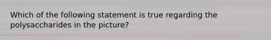 Which of the following statement is true regarding the polysaccharides in the picture?
