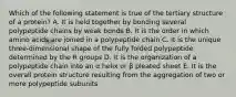 Which of the following statement is true of the tertiary structure of a protein? A. It is held together by bonding several polypeptide chains by weak bonds B. It is the order in which amino acids are joined in a polypeptide chain C. It is the unique three-dimensional shape of the fully folded polypeptide determined by the R groups D. It is the organization of a polypeptide chain into an α helix or β pleated sheet E. It is the overall protein structure resulting from the aggregation of two or more polypeptide subunits