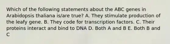 Which of the following statements about the ABC genes in Arabidopsis thaliana is/are true? A. They stimulate production of the leafy gene. B. They code for transcription factors. C. Their proteins interact and bind to DNA D. Both A and B E. Both B and C