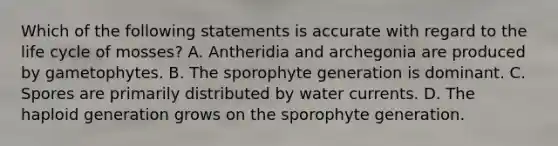 Which of the following statements is accurate with regard to the life cycle of mosses? A. Antheridia and archegonia are produced by gametophytes. B. The sporophyte generation is dominant. C. Spores are primarily distributed by water currents. D. The haploid generation grows on the sporophyte generation.