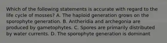 Which of the following statements is accurate with regard to the life cycle of mosses? A. The haploid generation grows on the sporophyte generation. B. Antheridia and archegonia are produced by gametophytes. C. Spores are primarily distributed by water currents. D. The sporophyte generation is dominant