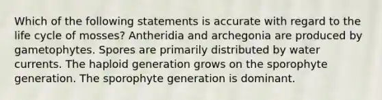 Which of the following statements is accurate with regard to the life cycle of mosses? Antheridia and archegonia are produced by gametophytes. Spores are primarily distributed by water currents. The haploid generation grows on the sporophyte generation. The sporophyte generation is dominant.