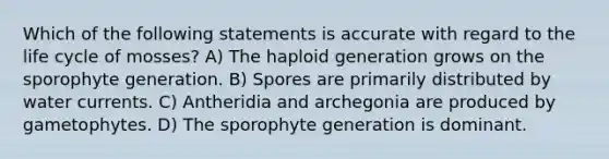 Which of the following statements is accurate with regard to the life cycle of mosses? A) The haploid generation grows on the sporophyte generation. B) Spores are primarily distributed by water currents. C) Antheridia and archegonia are produced by gametophytes. D) The sporophyte generation is dominant.